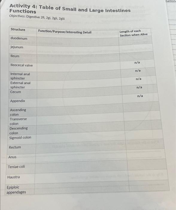 Solved Activity 4: Table of Small and Large Intestines | Chegg.com