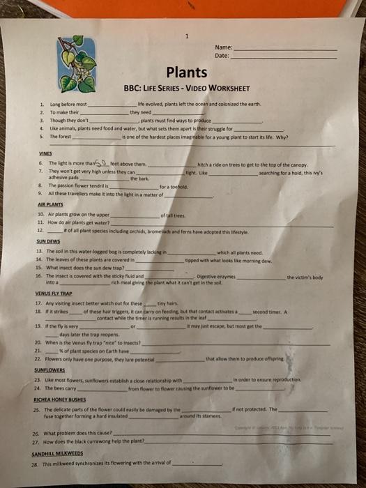 Name: Date: Plants BBC: LIFE SERIES - VIDEO WORKSHEET | Chegg.com