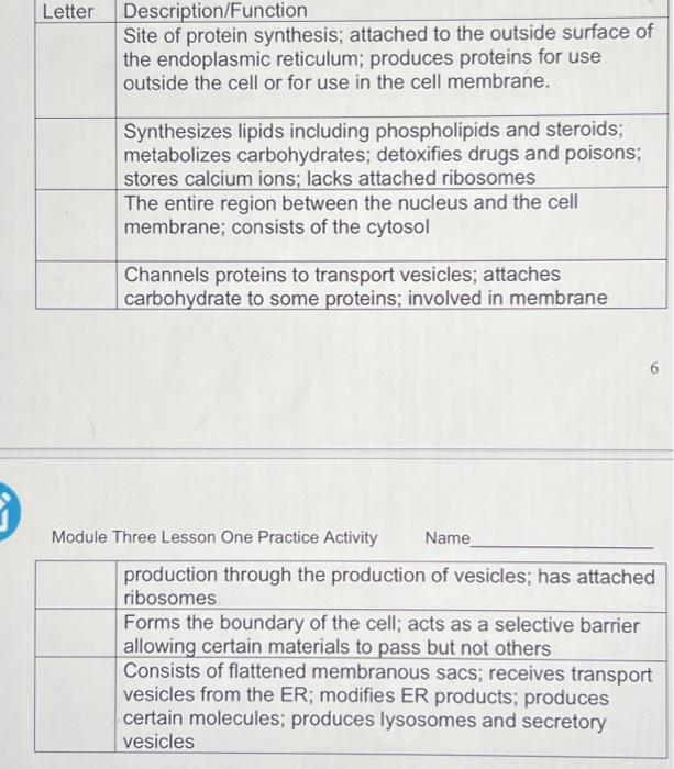 Solved 5. Match the function with the correct cell part from | Chegg.com