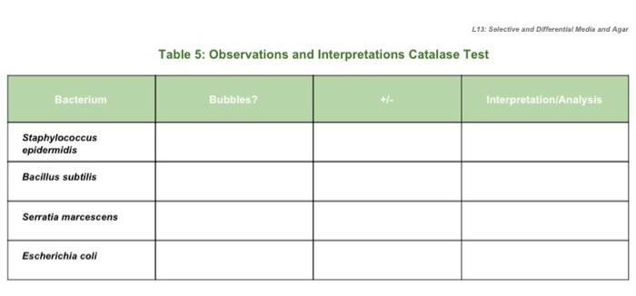Solved L!: Selective and Differential Media and Agar Table | Chegg.com