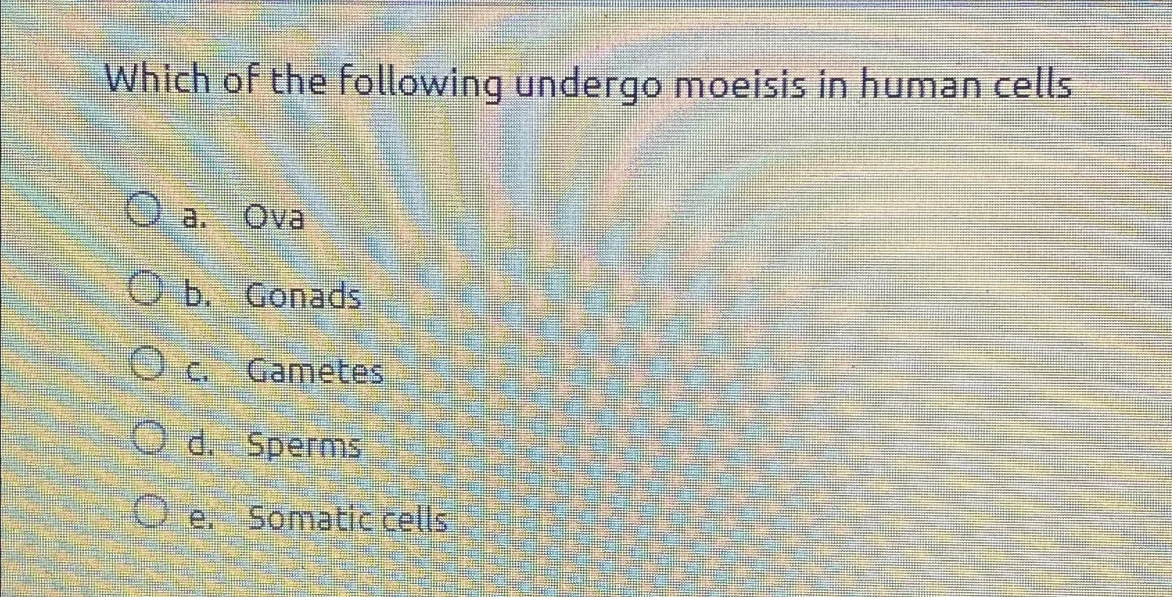 Solved Which Of The Following Undergo Moeisis In Human | Chegg.com