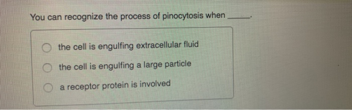 Solved You can recognize the process of pinocytosis when O | Chegg.com