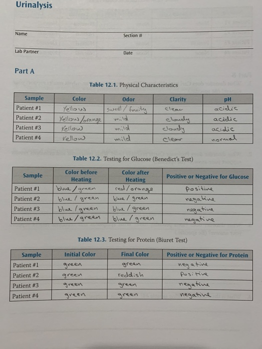 Lab Activity Urinalysis 12 2 21 12 31 Am Laboratory Simulation