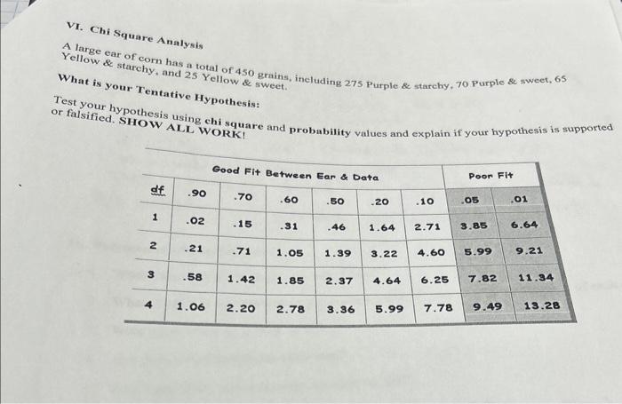 Solved VI. Chi Square Analysis A large ear of corn has a | Chegg.com