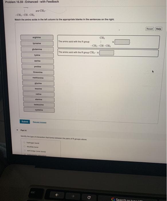 Solved Question 20 5 Ptshow Many Amino Acids Would Be Coded Chegg Com