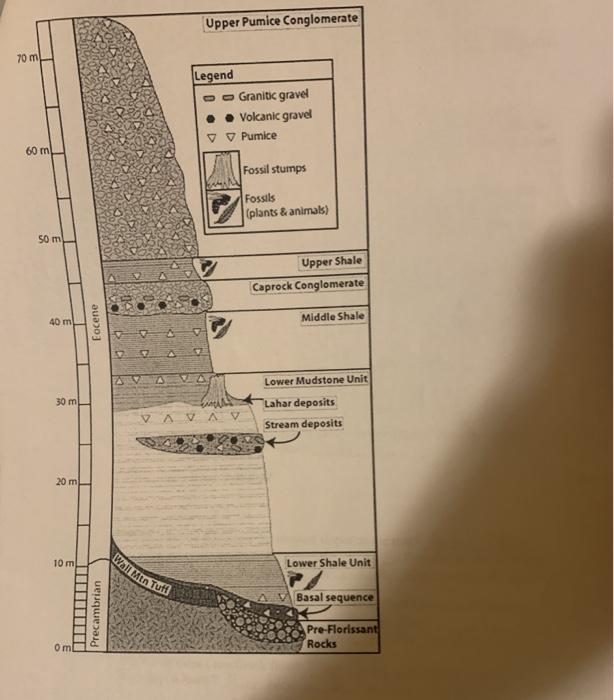 Solved Exercise 4: Stratigraphic columns A stratigraphic | Chegg.com