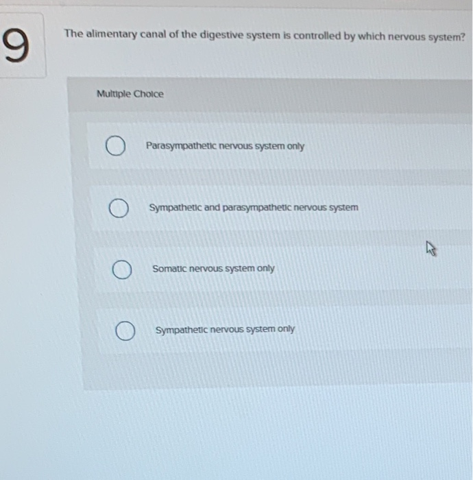 Solved What are the major function(s) of the digestive
