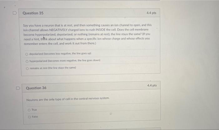 Solved Question 35 4.4 pts Say you have a neuron that is at | Chegg.com