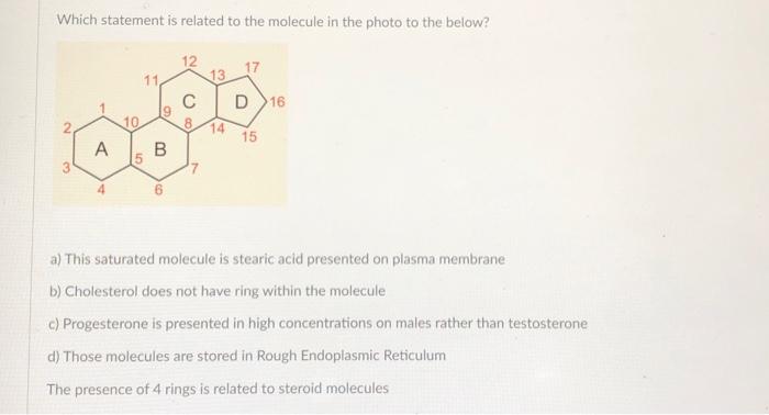 Solved Which statement is related to the molecule in the | Chegg.com