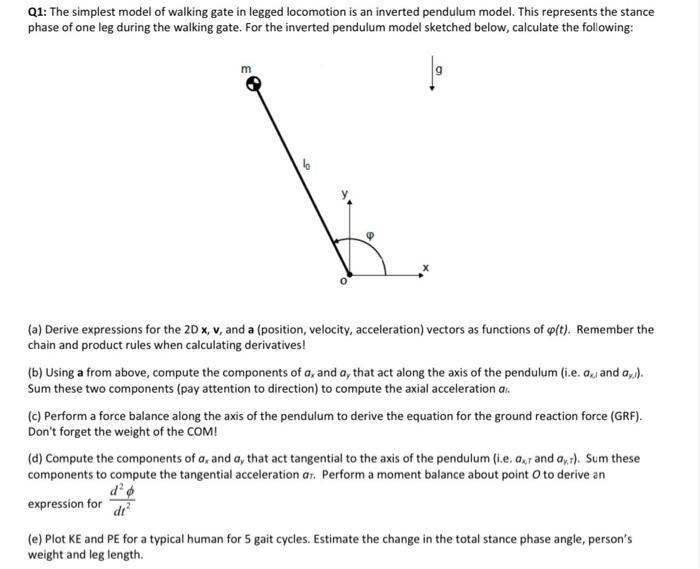 Solved Q1: The simplest model of walking gate in legged | Chegg.com