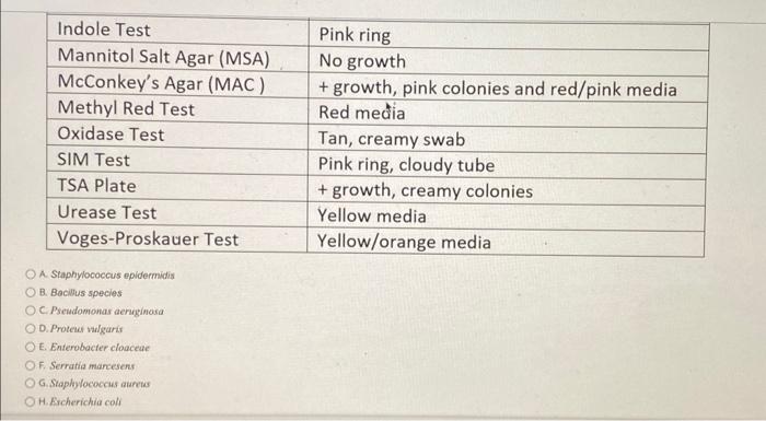 Solved You are trying to identify an unknown organism. | Chegg.com