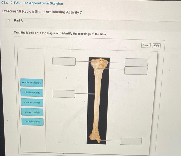 assignment 2.1 image labeling