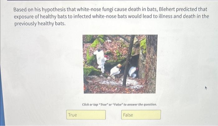 Based on his hypothesis that white-nose fungi cause death in bats, Blehert predicted that exposure of healthy bats to infecte