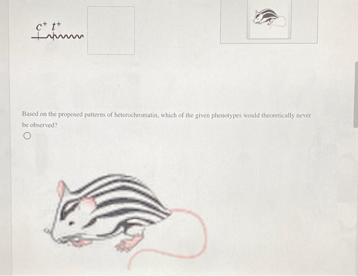 Solved Suppose there is a unique species of mouse in which | Chegg.com
