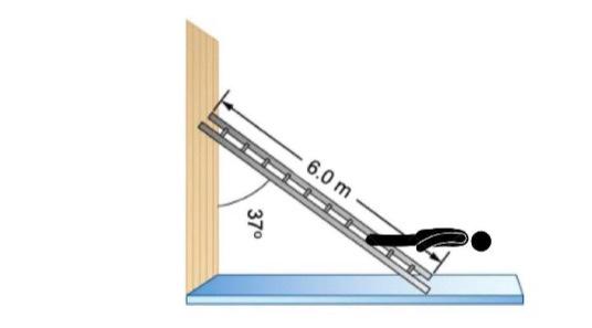 Solved A uniform ladder is 6.0 m long and weighs 68.0 Ibs. | Chegg.com