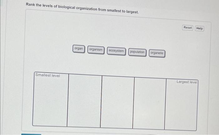 Solved Rank the levels of biological organization from | Chegg.com