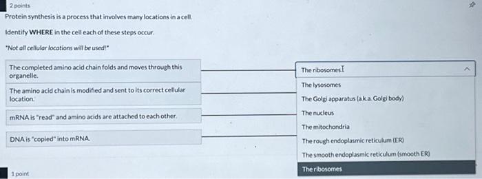Solved Protein synthesis is a process that involves many | Chegg.com