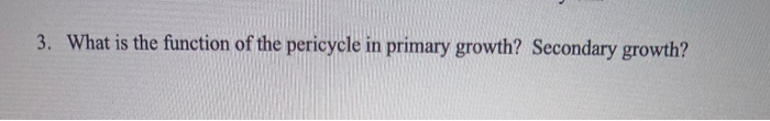 Solved 3. What is the function of the pericycle in primary | Chegg.com