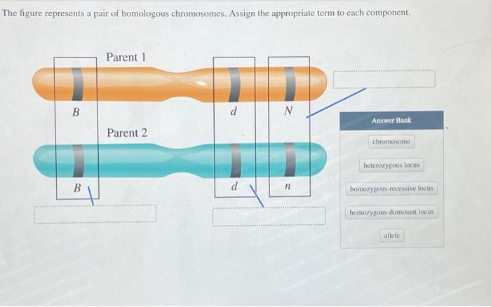 Solved Question | Chegg.com