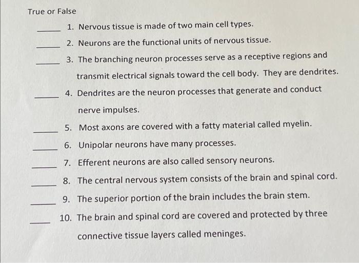 what tissue is made of