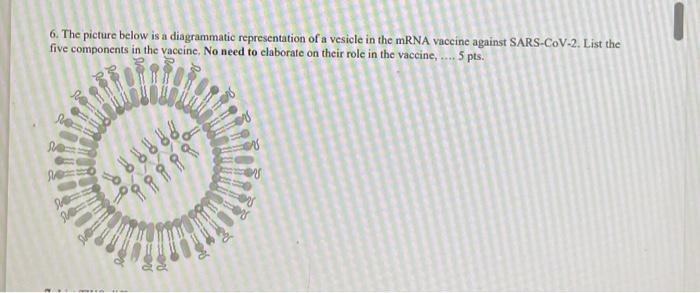 Solved 6. The picture below is a diagrammatic representation | Chegg.com