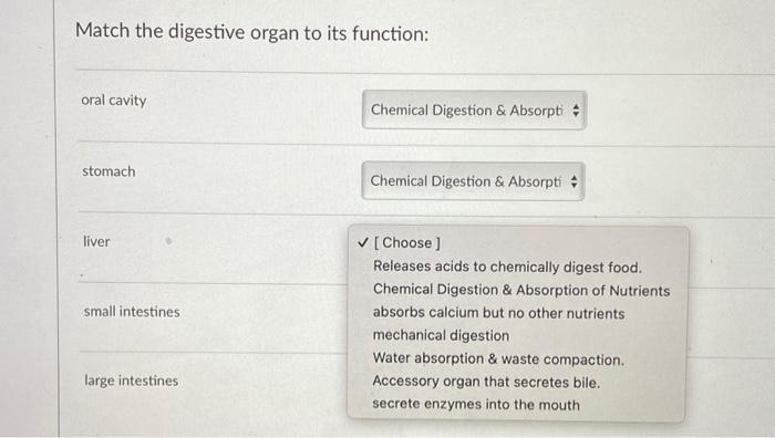 Solved Match the digestive organ to its function: oral | Chegg.com