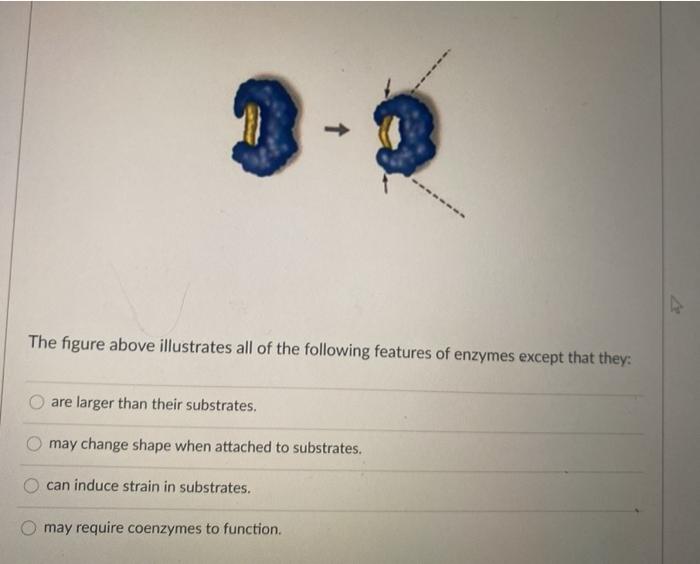 Solved The figure above illustrates all of the following | Chegg.com