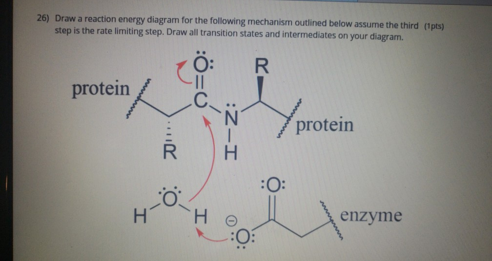 Solved 26) Draw a reaction energy diagram for the following | Chegg.com
