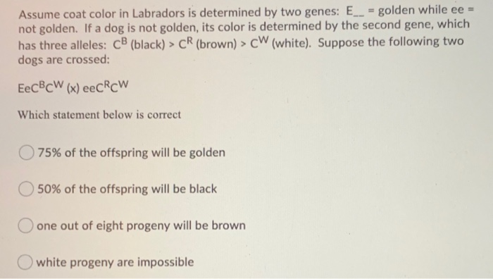 Solved Assume Coat Color In Labradors Is Determined By Two | Chegg.com