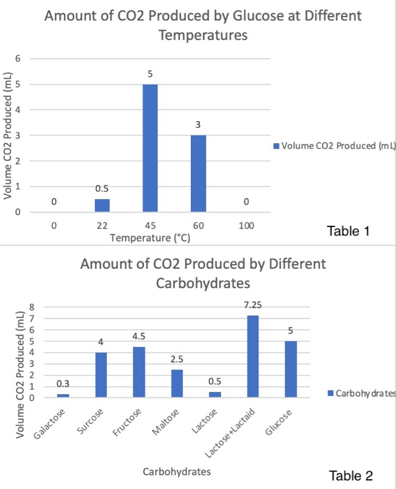 effect of temperature on yeast fermentation experiment