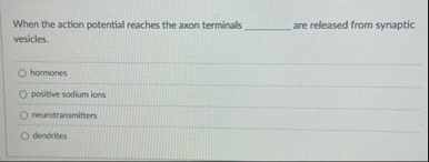 Solved When the action potential reaches the axon terminals | Chegg.com