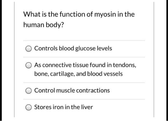 what is the main function of myosin protein in the human body