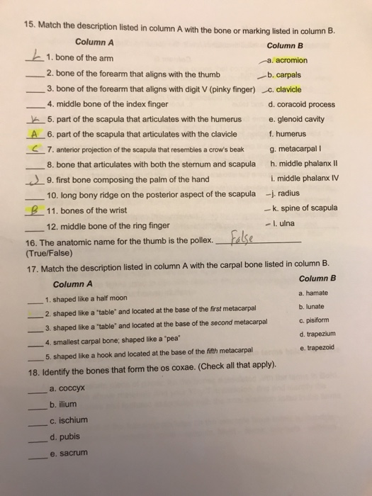 Solved 15. Match The Description Listed In Column A With The | Chegg.com