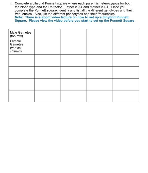 Solved 1 Complete A Dihybrid Punnett Square Where Each P Chegg Com