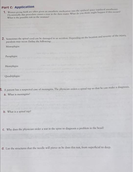 Part C: Application
1. Women giving birth are often given an anesthetic medication into the epidural space (epidural anesthes