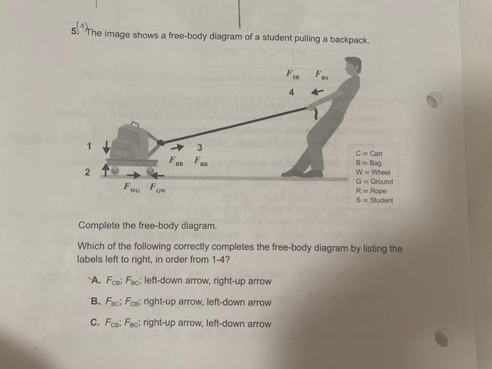 Solved 5. The Image Shows A Free-body Diagram Of A Student | Chegg.com