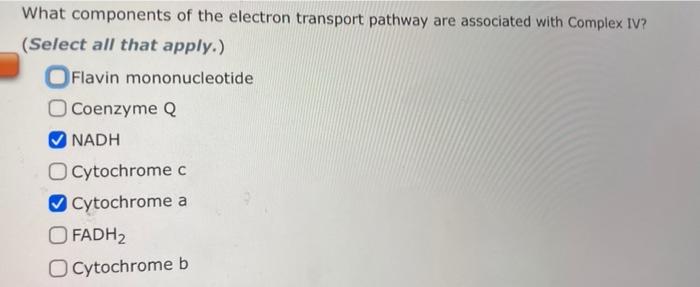 Solved question. What components of the electron transport | Chegg.com