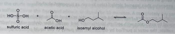 Solved sulfuric acid acetic acid isoamyl alcohol | Chegg.com