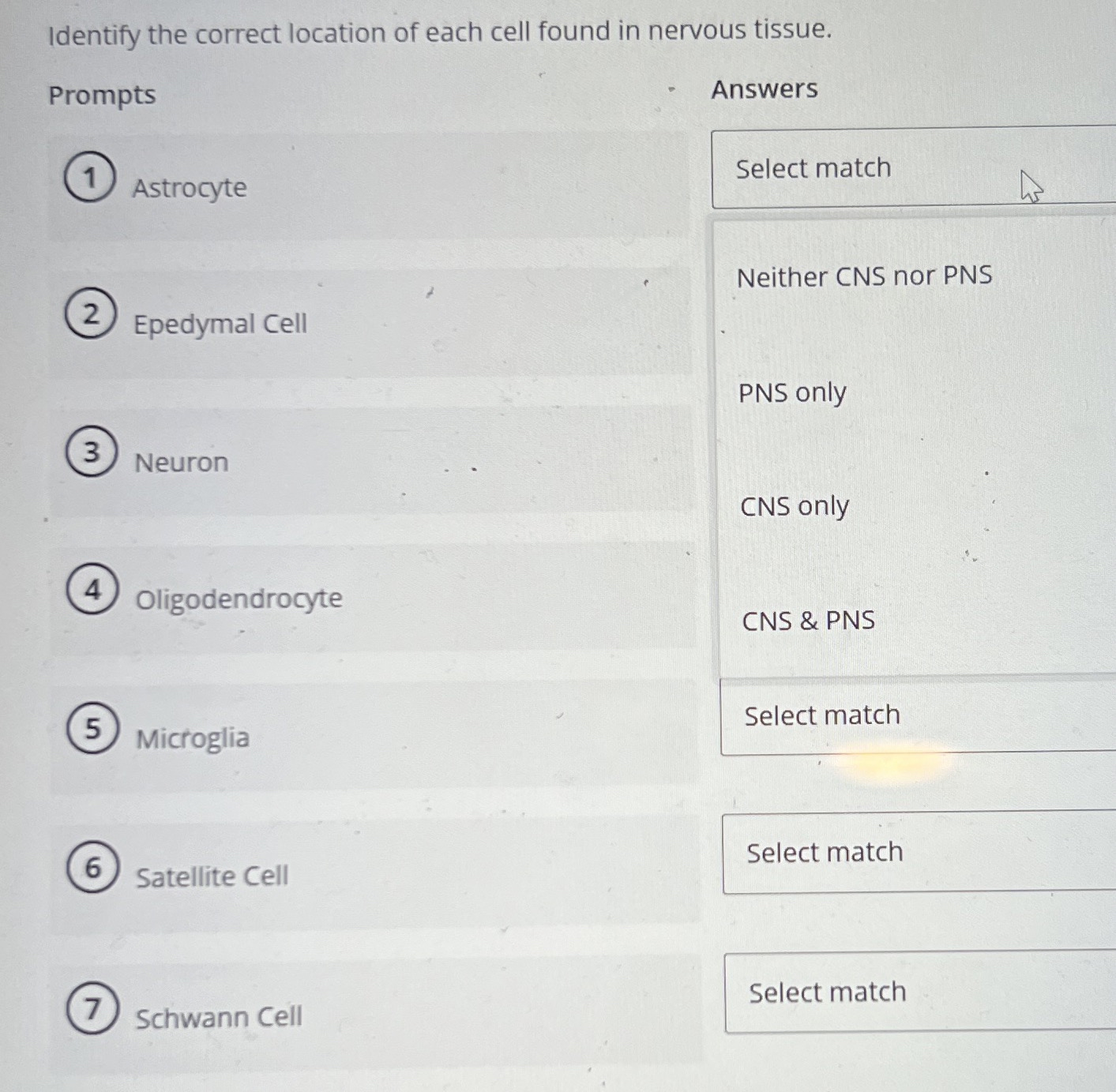 High Quality SOLUTION Identify the correct location of each cell found ...