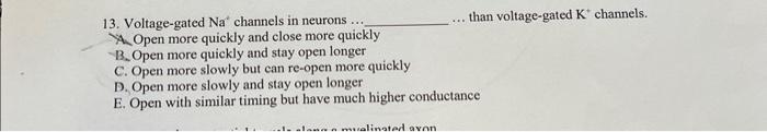 Solved 13. Voltage-gated Na channels in neurons ... than | Chegg.com