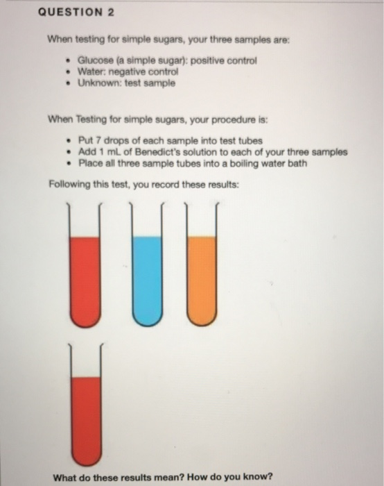 Solved Question 2 When Testing For Simple Sugars Your Th Chegg Com