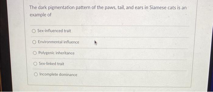 The dark pigmentation pattern of the paws, tail, and ears in Siamese cats is an example of
Sex-influenced trait
Environmental