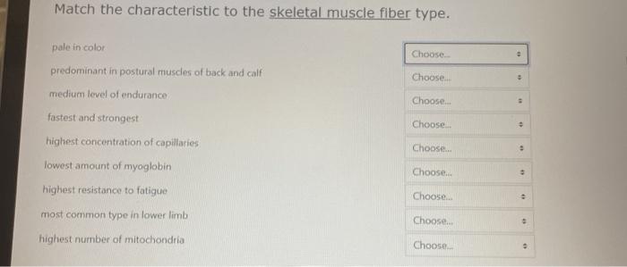 Solved Match the characteristic to the skeletal muscle fiber | Chegg.com
