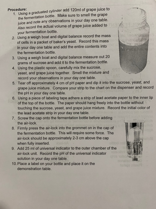 Solved Name ALCOHOL FERMENTATION EXPERIMENT Premise Yeast