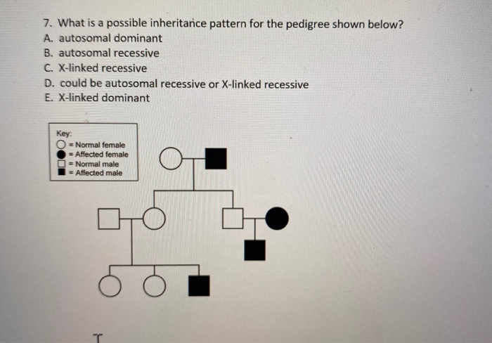 Solved 7. What is a possible inheritance pattern for the | Chegg.com