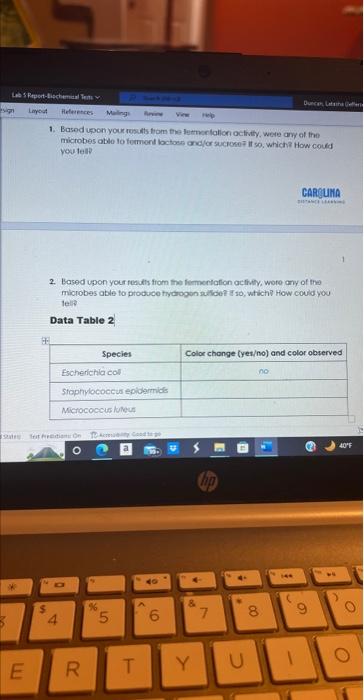 Solved Based On Your Results From The Fermentation Activity 