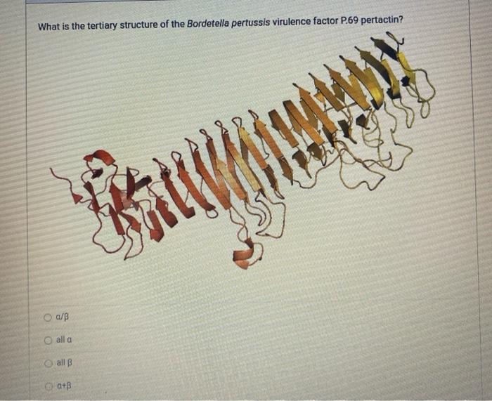 Solved What Is The Tertiary Structure Of Myoglobin? α/β All | Chegg.com