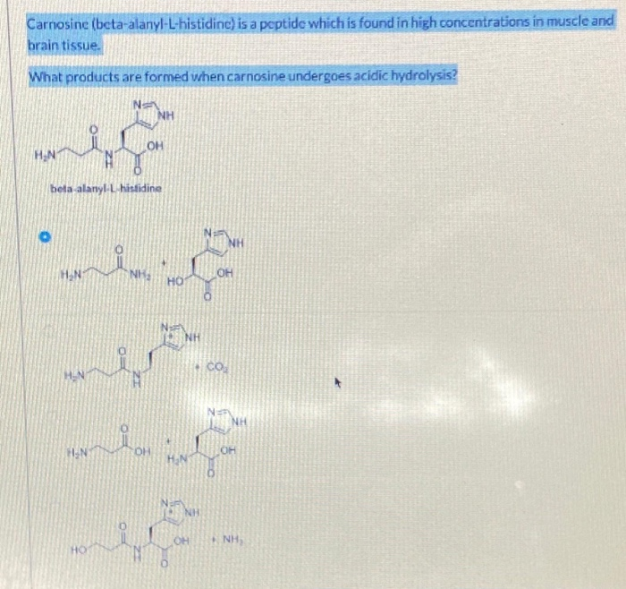 Solved Carnosine (beta-alanyl-L-histidine) Is A Peptide | Chegg.com