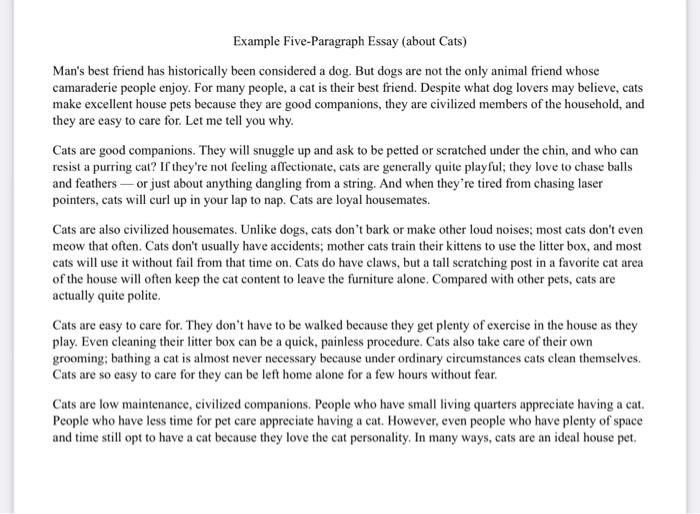 5 paragraph essay about cats