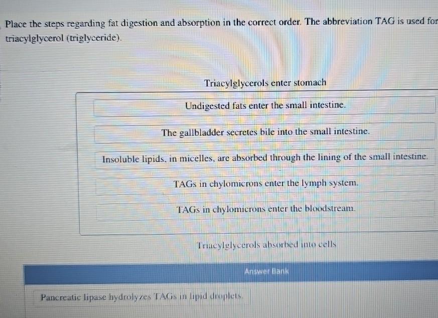 Solved place the steps regarding fat digestion and chegg